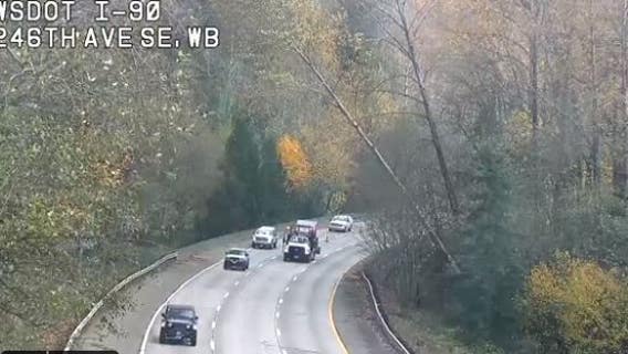 Trees leaning over I-90 to force lane closures in Issaquah