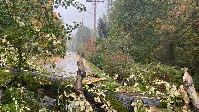 5 things to do now to prepare for storm season in the Pacific Northwest