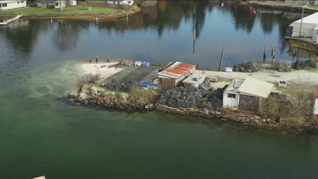 Neighbors worry geoduck farm will industrialize tranquil lagoon