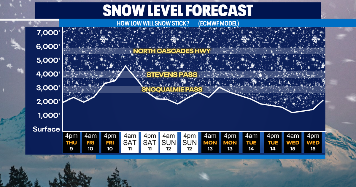 Scattered showers Thursday, storm hits Friday | FOX 13 Seattle