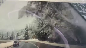 Caught on camera: Falling tree crashes onto Oregon DOT vehicle