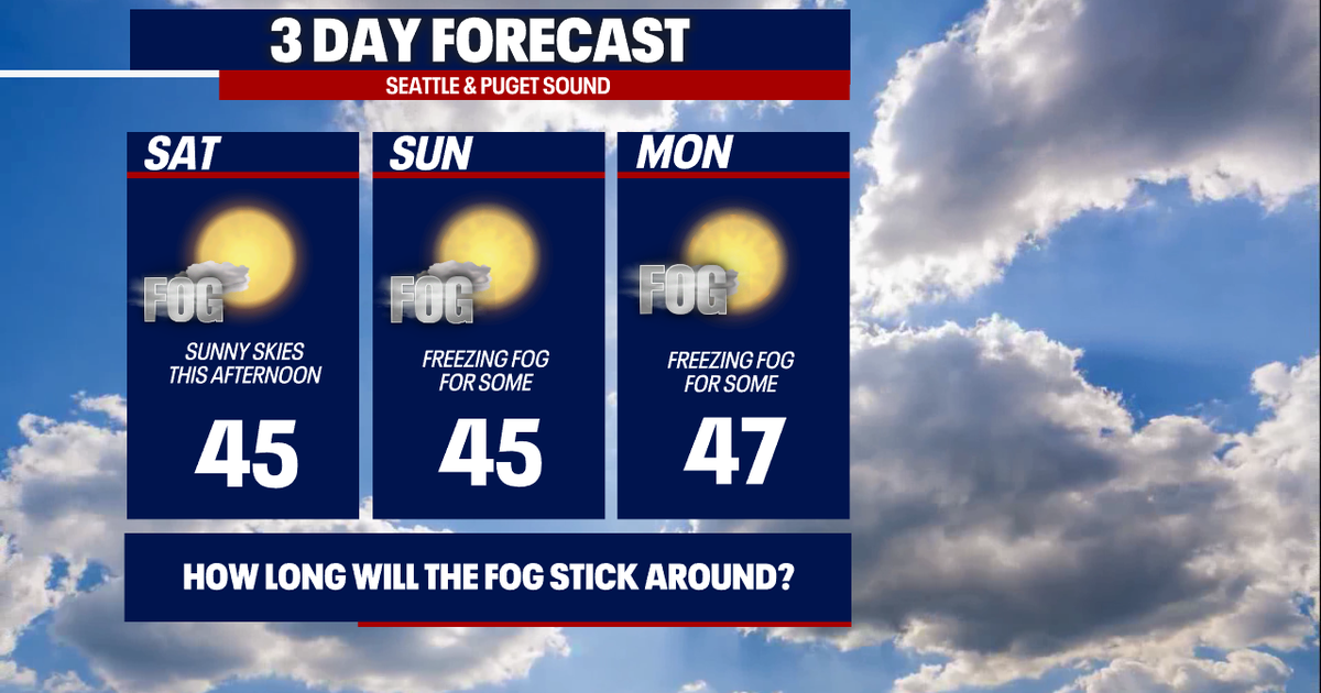 Dry, foggy and sunny wrap to January | FOX 13 Seattle