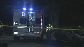 Detectives investigate after man found dead in Seattle's Kobe Terrace Park