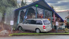 Minivan crashes into Lakewood dog grooming shop, no injuries reported