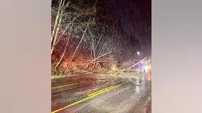 Landslides close several roads in western Washington counties