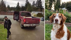 Stolen dog, pickup truck returned to Buckley home; package theft suspects still at large