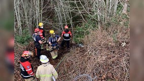 2 rescued after car goes over embankment in Tacoma