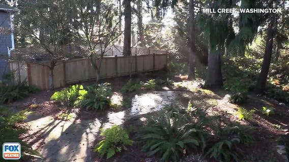 Mysterious 'rain' falls amid crystal clear skies near Seattle