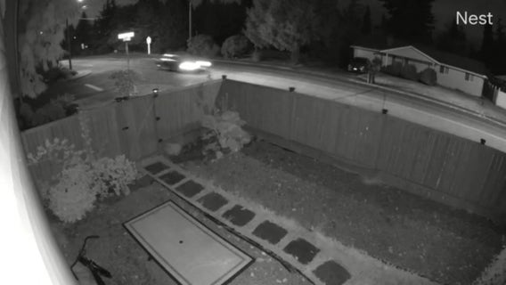 Suspect speeds away in Mountlake Terrace after woman shot outside her home