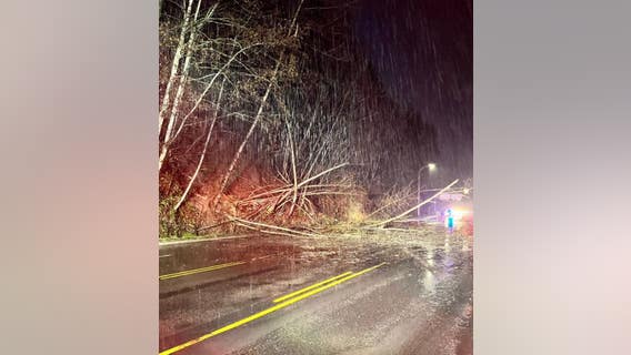 Landslides close several roads in western Washington counties