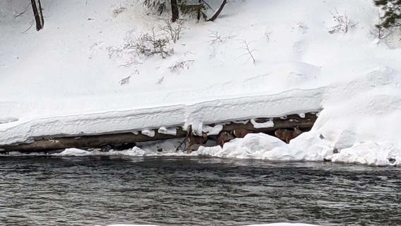 WSDOT concerned over group of stranded deer as Stevens Pass nears reopening