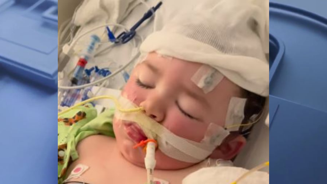 Snohomish County deputy saves 2-year-old boy found unresponsive in pond