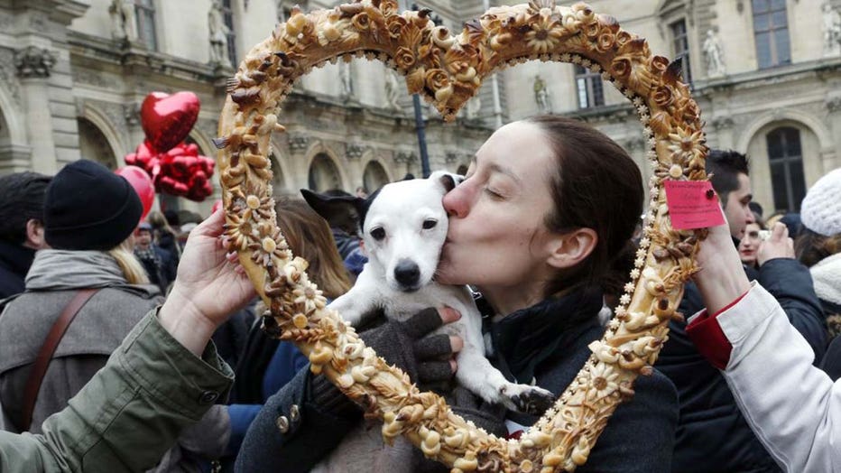 Valentine dog