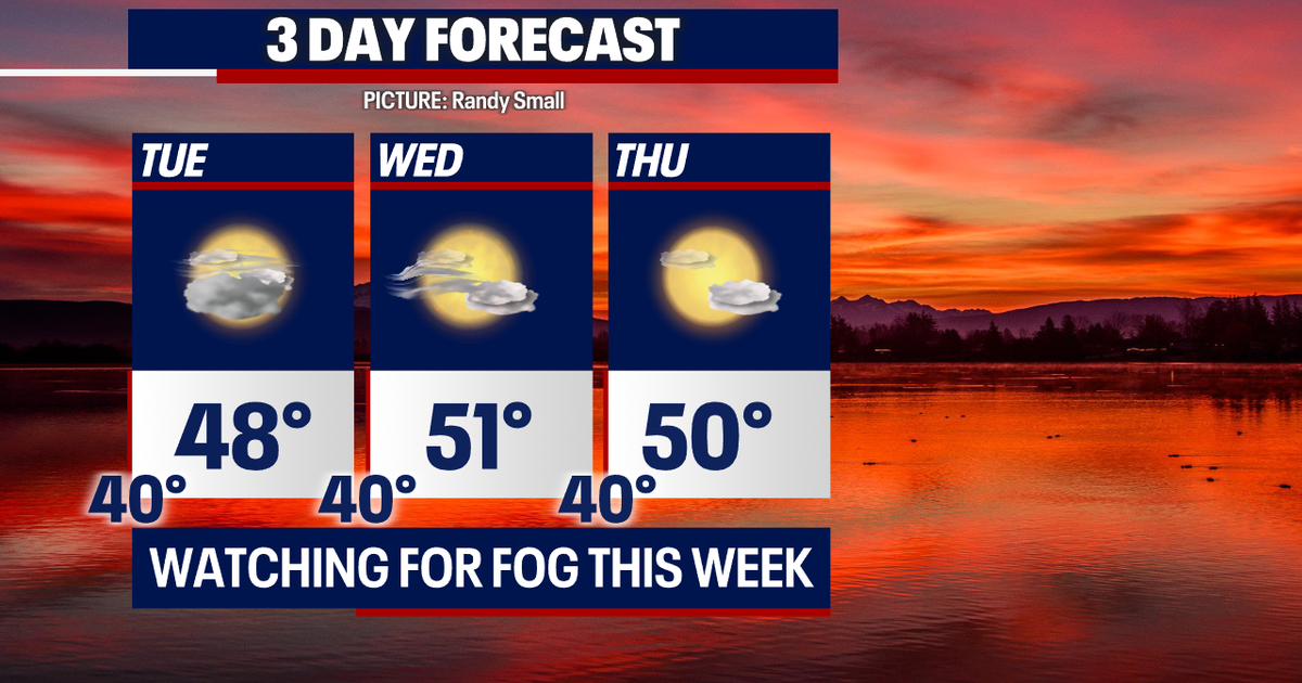 A beautiful week ahead! | FOX 13 Seattle