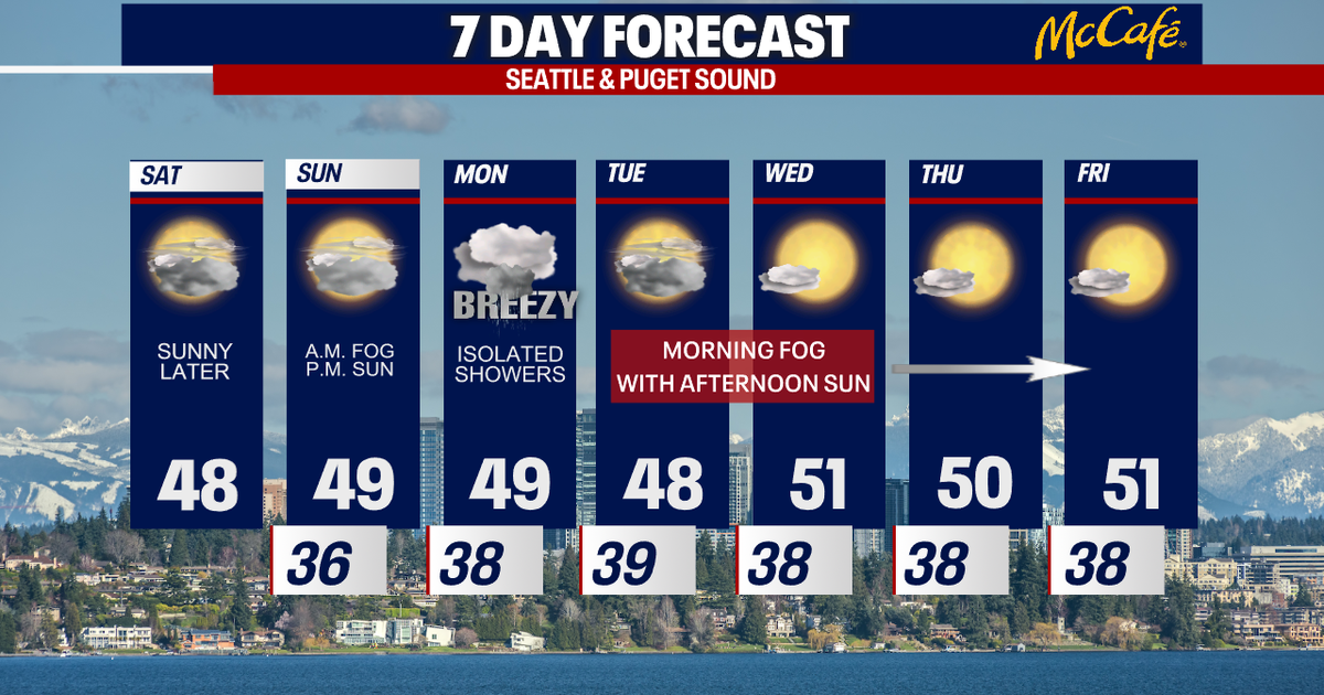 50s and sunshine in the forecast | FOX 13 Seattle