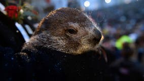 Groundhog Day 2022: Punxsutawney Phil sees shadow, predicts 6 more weeks of winter