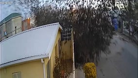 Video captures flock of birds suddenly falling from the sky in Mexico