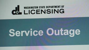 State licensing website restored following data breach, months-long investigation