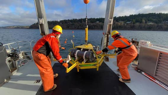 Scientists deploy buoy in Puget Sound to measure noise, risks to orcas