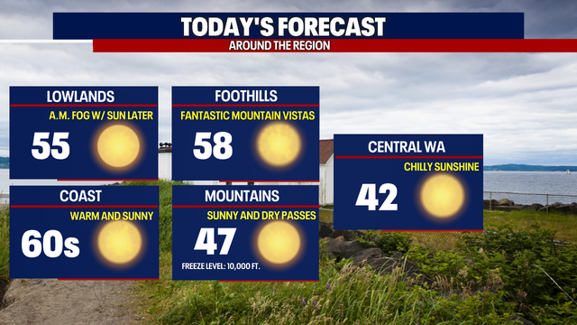 Sparkling sunshine this weekend, rain by Valentine's Day