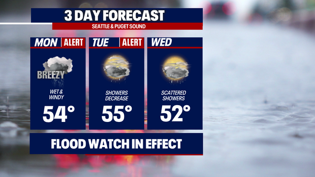 Another 'Weather Alert Day' as rain, wind slam Western Washington