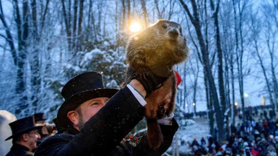 a42f35b2-Winter Weather Oracle Punxsutawney Phil Makes Annual Groundhogs Day Appearance