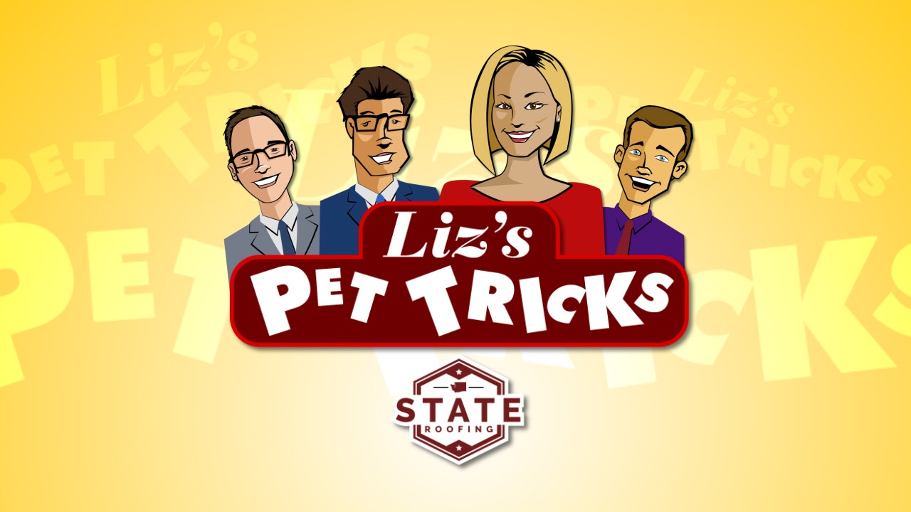 Submit Your Pet Video!