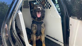 Police arrest 4 suspects in Lynnwood burglary