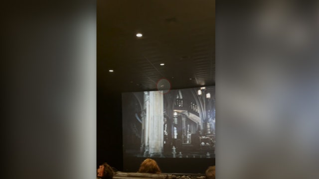 Live bat released during 'The Batman' screening in Austin theater