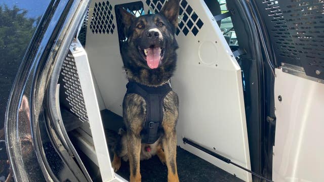 Police arrest 4 suspects in Lynnwood burglary