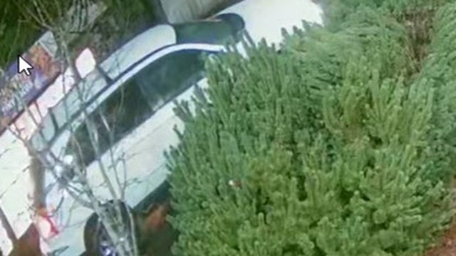 Deputies arrest man in gruesome murder at Pierce County drive-thru