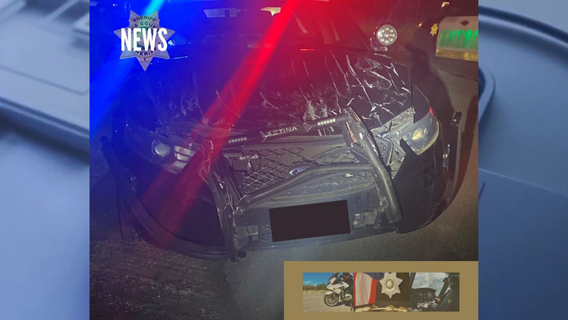 King County deputy hurt after suspect backs SUV onto patrol car