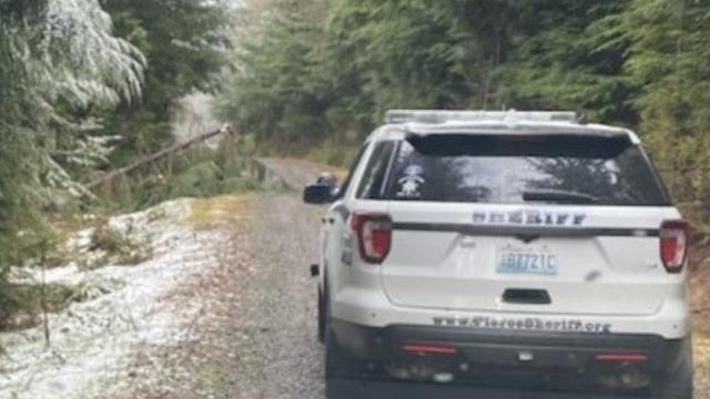 Hikers find human remains near Carbonado