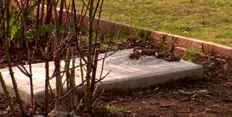 American Legion cannon stolen in Yelm, veterans hope for safe return