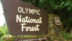 Man sentenced to 16 years for beating woman to death in Olympic National Forest