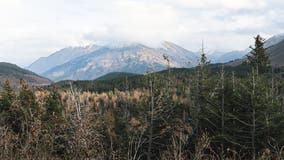 US Army soldier dies after bear attack injuries in Alaska