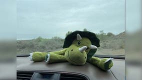 Dino expedition: WSDOT works to reunite lost stuffed animal with family