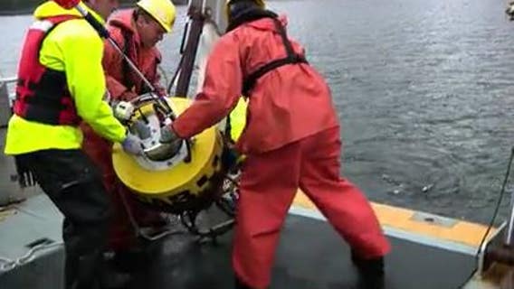 Noise pollution harms endangered orcas, scientists are rushing to find solutions