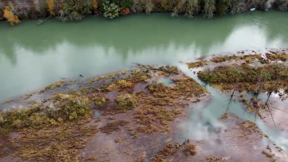 Saving salmon: How a tribe, governments and nonprofits came together to rescue an estuary
