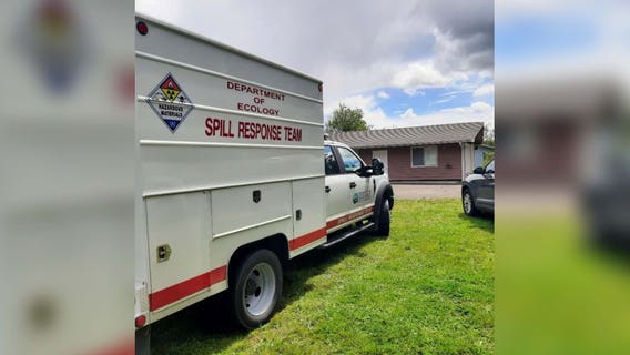 Mason, Thurston Co. deputies bust large-scale, illegal marijuana growing operations