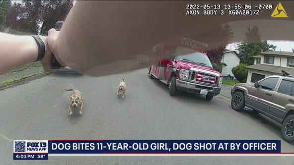 Auburn officer shoots dog running toward him after 11-year-old girl was bitten