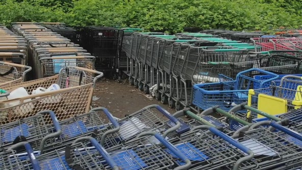 Shopping cart jail: Stores face fines to reclaim carts abandoned around town