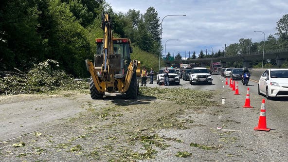 Fallen tree blocks traffic on SR 518 near Tukwila for more than an hour