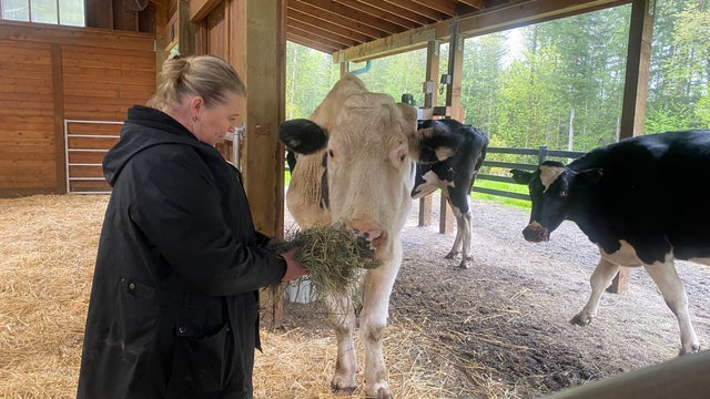 Hay shortages putting strain on Washington animal rescues