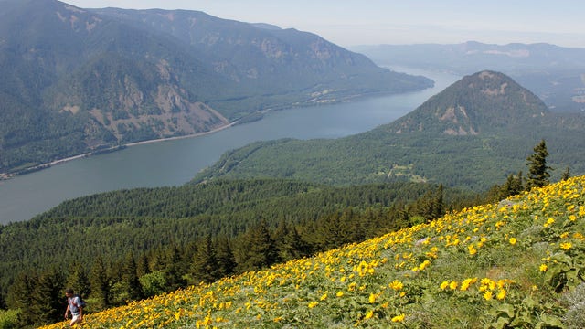 Washington fines Portland contractor for water quality issue