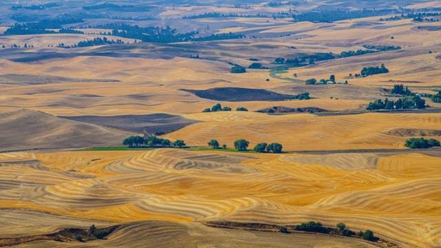Experts warn that drought will impact Northwest this summer