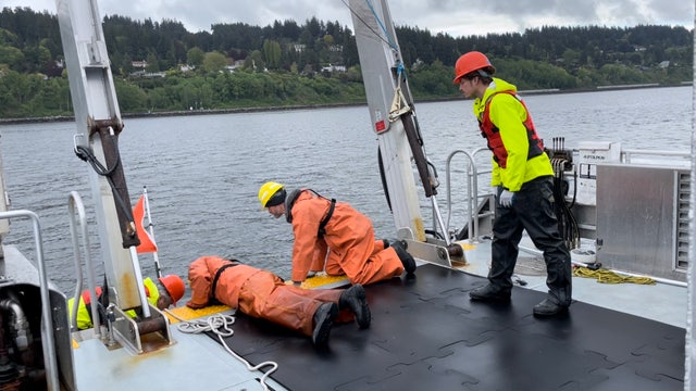 Research on noise pollution in Puget Sound underway