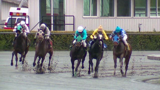 Emerald Downs welcomes fans for 2023 horse racing season