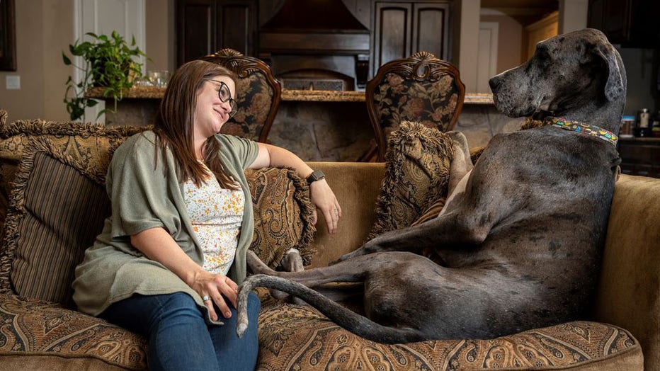 Zeus-sits-on-the-sofa-with-his-owner-Brittany-Davis.jpg