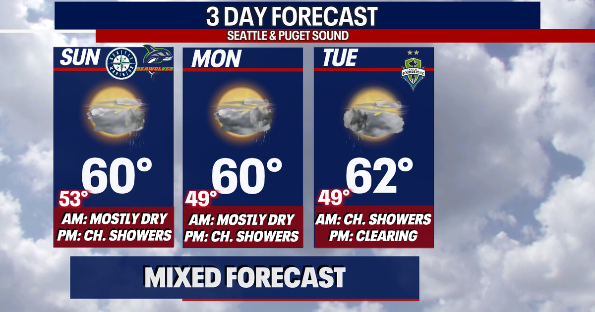 Seattle weather: Cool and showery conditions for the next three days ...